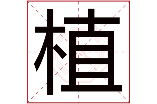 植字