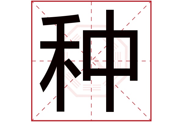 种字