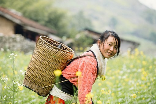 乔字起女孩名 文雅的女孩子名字灵气