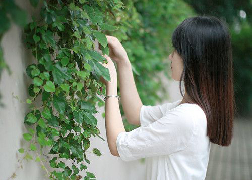 晨字取名女孩名字大全